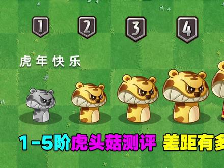 1-5阶虎头菇测评:1阶刮痧,5阶百分比毒真不错! #植物大战僵尸 #庄先森解说 #游戏