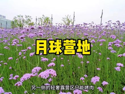 长春能烧烤,能烤肉,能玩水还有儿童乐园的露营地~月球营地~#亲子游玩好去处 #露营烧烤地点推荐 #旅行推荐官 #吃喝玩乐在长春 #遛娃好去处