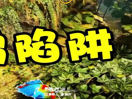 ②绿色地狱:意外发现鹦鹉陷阱,竟然能用来“钓鱼”差点就中计了!