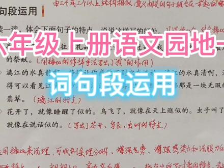 六年级上册语文园地一词句段运用