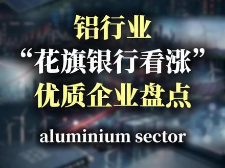 铝行业基本面及核心企业盘点#投研 #基本面分析 #电解铝 #中国铝业