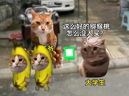 知识分子永远和劳动人民站在一起#猫meme #正能量 #dnf手游 #dnf手游激励计划 #DNF手游装备升级