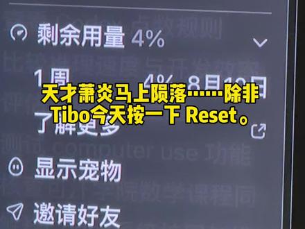 天才萧炎就此陨落……除非 Tibo 今天按一下 Reset。 #Codex #Tibo #Token #AI编程 #天才萧炎就此陨落
