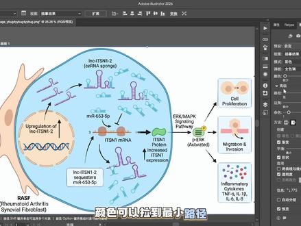第二期来了 如何去除gemini的不可视水印 两种方法 大家看完 第二种是邪教!#Gemini #科研绘图 #ai绘图 #科研 #论文