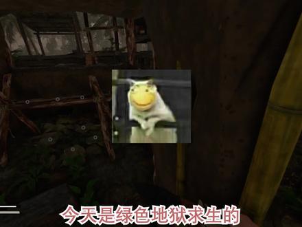 绿色地狱11 陷阱意外捕获2头猪,采集未知草药,制作绷带