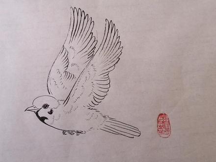 小麻雀画法:小麻雀也能展翅飞翔!