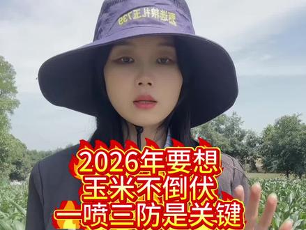 #每天分享农业种植知识 #创作者中心 #创作灵感 #三农 #三农种植知识分享 玉米一喷三防工作要做好