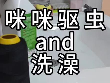 猫咪驱虫➕洗澡 咪身上跳蚤太多了,这几天我也看了很多其他博主给小猫咪洗澡的视频,感觉咪也可以洗澡
今天是个大晴天,主包就准备了呋虫胺和硫磺皂给咪洗澡
呋虫胺确实有用,但是包裹猫咪要用不透气的面料才能完全发挥药性,这是主包的失误,结果就是跳蚤没除干净,但是咪应该也会稍微舒服些
还有就是必须用温水洗,避免小猫着凉,洗完马上吹干
接下来就是观察小咪的状态了,希望它没被吓到,可以正常吃喝拉撒
等小咪达到可以做驱虫的体重,再带它去宠物医院全面驱虫
#猫咪驱虫 #咪 #小奶猫