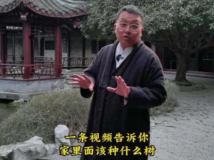 这条视频告诉你,家里可以种什么树?#种树 前不栽桑,后不栽柳,左不栽杏,右不栽桃,中间不栽鬼拍手!