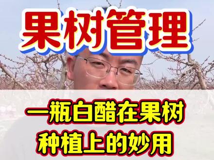 一瓶白醋在果树种植上的妙用#果树#果树管理#果树种植#农业种植