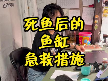 fufu离开几天,鱼缸没有人管,回来以后嘎了一条银屏灯,来看看fufu如何给鱼缸急救!#养鱼日记 #新手养鱼 #观赏鱼 #养鱼人 #养鱼经验分享