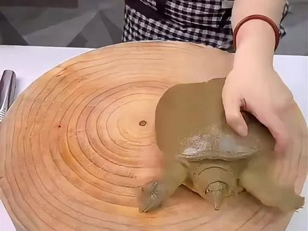 被甲鱼咬了怎么办?#万万没想到 #涨知识 #甲鱼