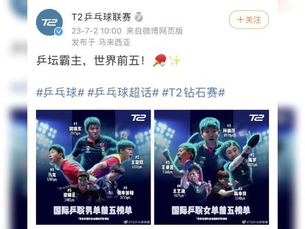 #国乒 #乒乓球 #王楚钦 #大头 #王楚钦加油 说到这儿了 要不一起先看看17年未成年幼崽头头的T2