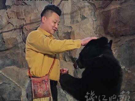 “它如果真要攻击,我不可能现在还站在这里” “黑熊扑向驯养员”视频牵动网友心,驯养员讲述和“熊二”朝夕相处点滴(潮新闻记者 杨晓轩 戴佳轶)