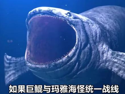 食海者VS格兰玛雅,谁才是海洋霸主呢#食海者 #格兰玛雅