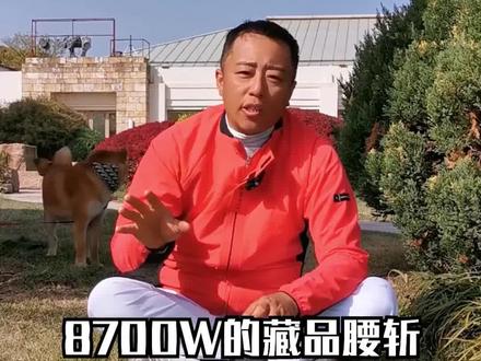 8700W拍卖的乾隆嵩阳汉柏图,藏品背后故事有多重要?#收藏 #书画 #乾隆 #书法 #艺术 #鉴宝