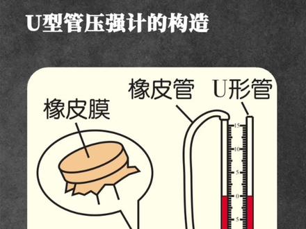 一分钟学物理之U型管压强计,理解构造就理解原理了 很多粉丝私信我详细讲讲U型管压强计,今天专门出一期视频#物理 #八下物理 #科普