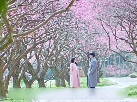 第13集,聂曦光终于得知两年前,林屿森认识她的过程#骄阳似我 #林屿森聂曦光 #赵今麦 #宋威龙#骄阳似我2025遇到现偶的神