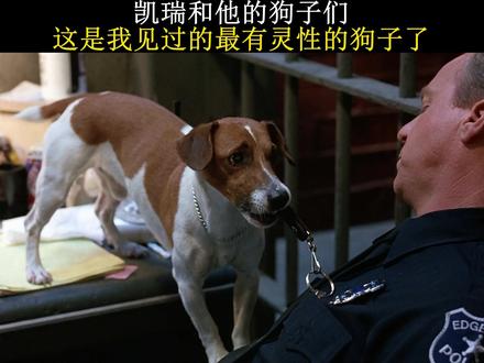 第1集 | #金凯瑞的狗子是我见过zui有灵性的#狗子