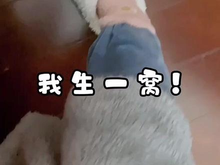 女孩子能有什么坏心思呢@一颗糖🍬 #内卷天花板