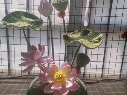 荷花之荷叶钩织教程二,喜欢的姐妹给个赞赞,谢谢!#手工毛线花朵#手工定制 #抖音手艺人 #简单手工花制作教程 #热点小助手 #手工毛线花朵