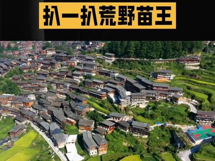 荒野求生苗王#苗王 #荒野苗王