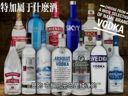伏特加属于什么酒#科普 #酒吧 @DOU+小助手