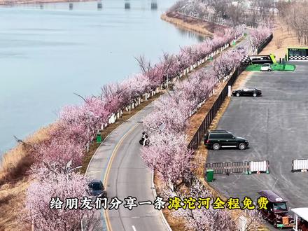 滹沱河全程免费、赏花露营一日游攻略! 很适合休闲散心哦#石家庄游玩推荐 #石家庄一日游 #石家庄周边游 #这么近那么美周末到河北 #河北文旅推荐官