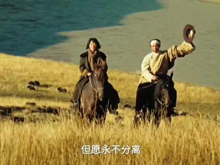 相亲相爱一家人 #日常追剧#杨紫 #生命树
#影视剧名场面