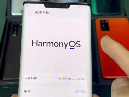 到底什么手机可以更新鸿蒙系统#华为手机#5g时代