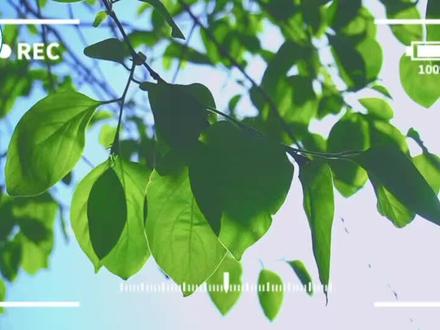 佘外学子“国防教育”暑期夏令营👍👍👍