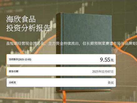 海欣食品投资分析报告