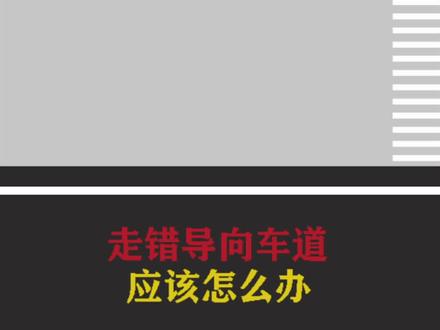 走错导向车道应该怎么办#交通安全小常识 #交通安全知识点 #安全行车文明行车 #文明行车 #遵守交规