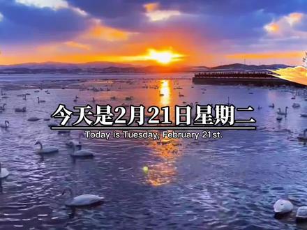 今天是2月21日星期二,农历二月初二,二月二龙抬头,平安健康来起头,鸿运当头好兆头,财富满满在手头,大吉大利在心头,收到祝福好年头,幸福如意是龙头,祝大家都有个好彩头#情感#龙抬头 #愿所有人平安健康 #情感共鸣 #祝福大家都平安健康幸福快乐