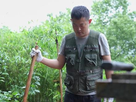 轻轻松松就把这块地改造的截然不同啦~ #红泥土改造 #家庭种植