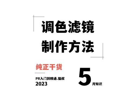 Pr教程|教你们制作属于自己的调色滤镜,纯正干货,赶紧学起来!#pr教程 #调色滤镜 #视频调色 #调色显示器