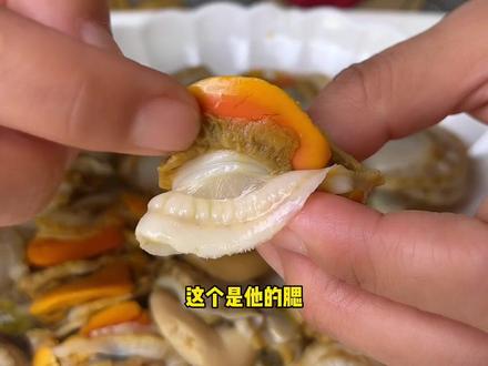 扇贝除了壳不能吃 其他的都可以吃 你学会了嘛#扇贝肉 #海鲜原产地 #源头好生鲜 #海鲜美食