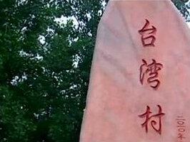 邓州市张村镇台湾村系台湾高山族,1668年始祖依那思罗随黄廷定居邓州娶当地岑氏并改成陈姓。你知道这里的故事吗?