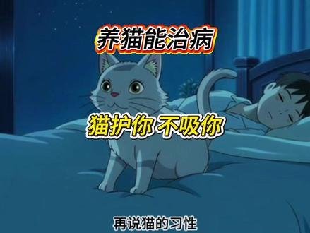 猫来穷这话,是彻头彻尾的骗局 猫跟老虎同科,五行属木火,江湖骗子才说养猫不吉利 #玄学 #传统文化 #养猫辟谣 #猫来穷是真的吗