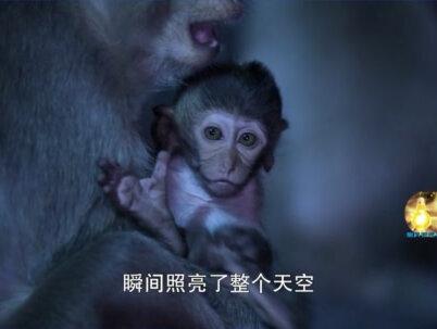 参宿四你爆不爆?你不爆,我先爆为敬!10年来距地球最近的一次 #超新星 #2023ixf #快看宇宙