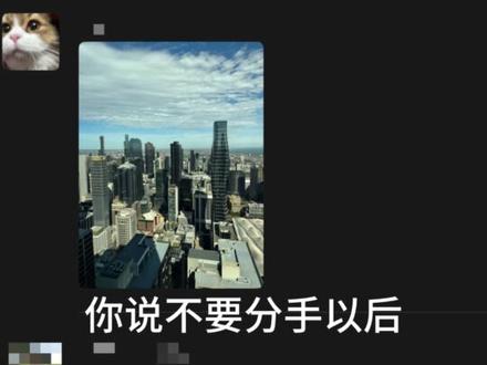 重磅第二弹 美国篇
仍处于失联状态!