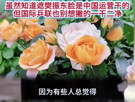 国际乒联—梁宏愽说:百年世乒赛宣传片遮住樊振东的脸是中国运营干的。#樊振东#樊振东超级金满贯#体育精神