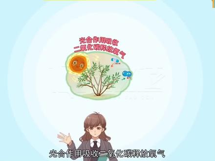 初一生物上册光合作用吸收二氧化碳释放氧气思维导图你学会了吗?