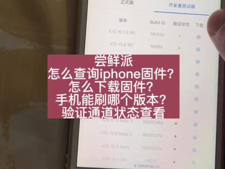 尝鲜派 苹果刷机验证通道状态查询 固件下载#刷机 #固件 #验证 #下载 #iphone使用技巧