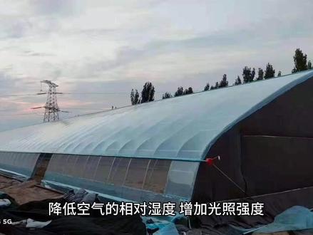 po膜是无滴膜的一种,而无滴膜并非就是po产品,它和无滴膜的关系是从属关系,它属于无滴膜,无滴膜是一个大类,只要是能够防止棚内雾气形成水滴直接从棚膜上滴下来,而是形成流滴,滑落到棚的前沿或两侧,具备这样功能的大棚膜就是无滴膜。#大棚膜 #po膜 #大棚po膜 #农膜厂家 #种植大棚