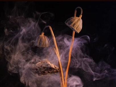 心不死则道不生,欲不灭则道不存。
心不苦则智慧不开,身不苦则福禄不厚。#觉醒开悟 #唤醒真我 #开悟人生 #智慧人生 #涅槃心境