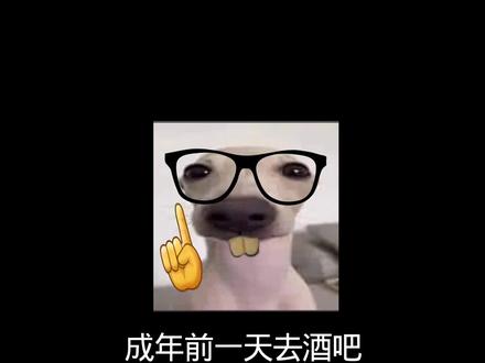 “一生只能玩一次”#抽象#搞笑#配音