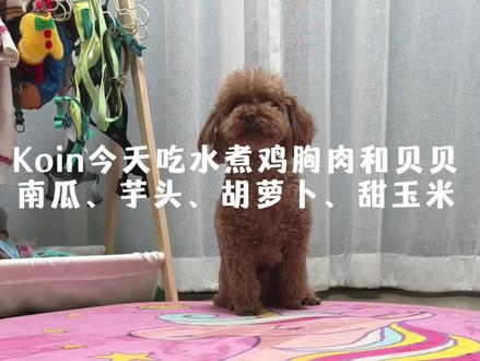 小狗日常|小狗沉浸式挑食吃播😊 你们家小狗也是这么精准的
把所有肉肉🥩都挑出来吗?
今天吃水煮鸡胸肉🍗和贝贝南瓜🎃、芋头、胡萝卜🥕、甜玉米🌽
#创作者扶持计划 #馋嘴小狗 #狗狗吃播 #沉浸式吃饭 #我家宠物好可爱