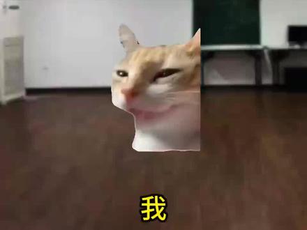 假期已经到了#猫meme