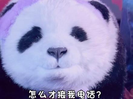 不装了,今天有点想你了#春晚机器人 #春节讨个好彩头 #熊猫胡胡 #来这吸熊猫 #机器人